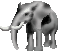 elephant.gif